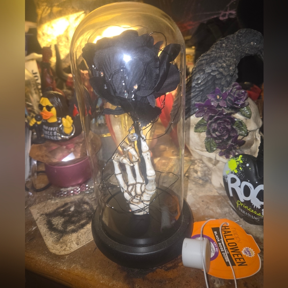Hot Topic Black Rose Skeleton Dome